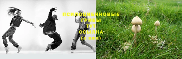 эйфоретик Ладушкин