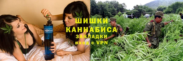 дживик Лагань