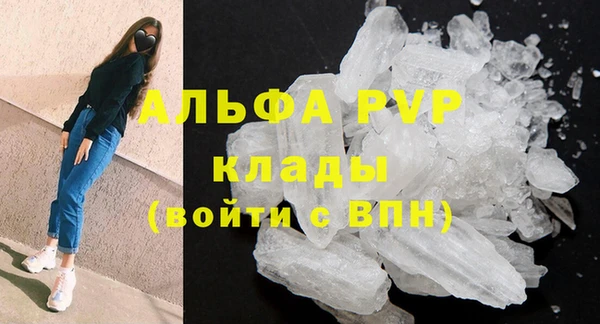 ПСИЛОЦИБИНОВЫЕ ГРИБЫ Липки