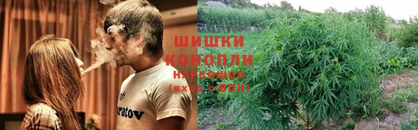 дживик Лагань