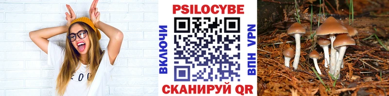 Галлюциногенные грибы прущие грибы Нестеровская