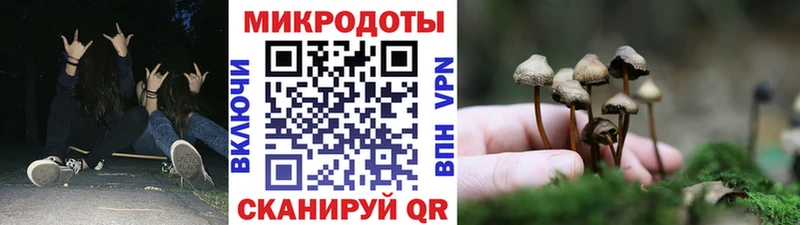 Псилоцибиновые грибы Psilocybe Нестеровская